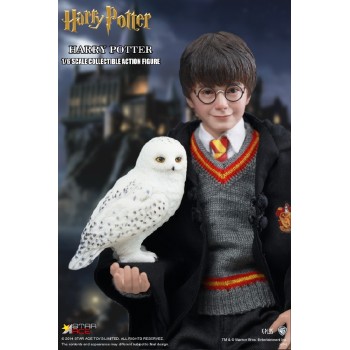 Harry Potter 1/6 action figure with costume 26 cm